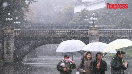 À Tokyo, il neige en novembre pour la première fois depuis 1962