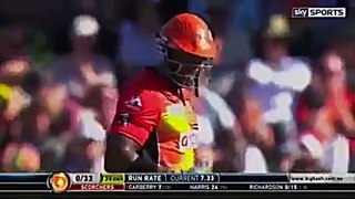 Cricket Funny Moments ever!!!