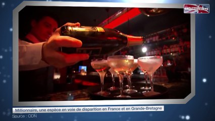 Millionnaire, une espèce en voie de disparition en France et en Grande-Bretagne
