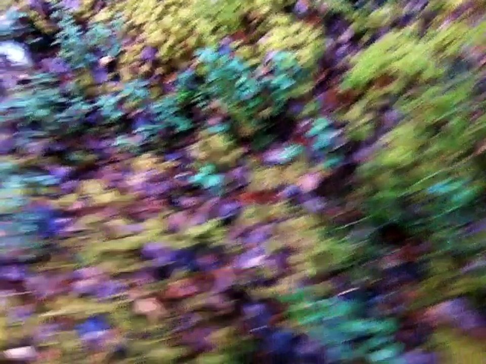 Nov 24 2016 1