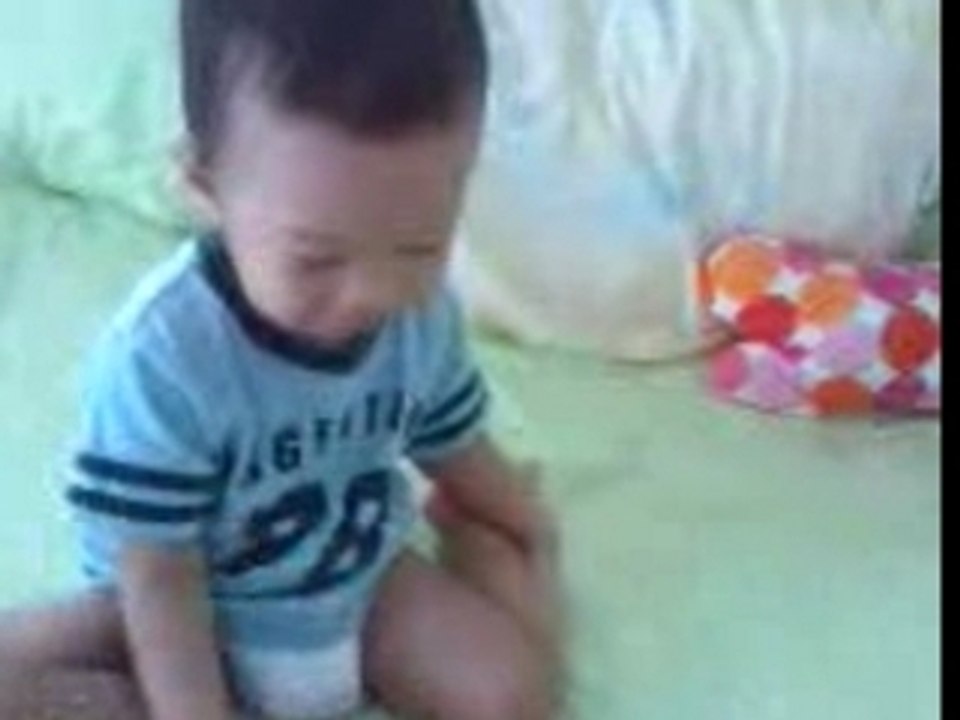 Yak_Sleeping