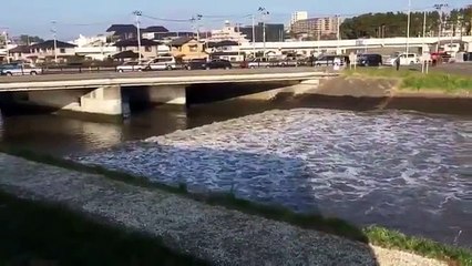 Fukushima Earthquake and Tsunami 2016 Footage - Japan Earthquake 2016 November