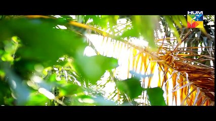 Be Aitbaar Episode 74