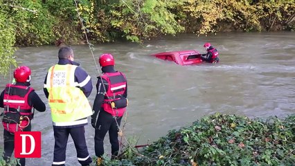 Des chiens de chasse sauvés des eaux