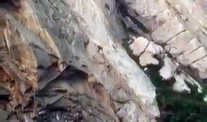 Romântico infeliz salvo por helicóptero após proposta de casamento falhada!