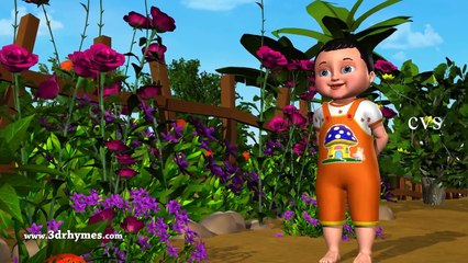 NAA CHINNI KANNULU, CHEVULU - TELUGU KIDS RHYMES - RHYMES FOR CHILDRENS