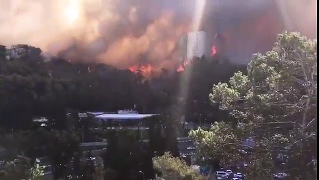 Пожар в Хайфе