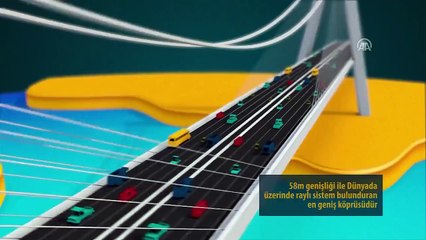 Son 13 yılın ağaçlandırma çalışmaları Youtubeda (VİDEO HABER)