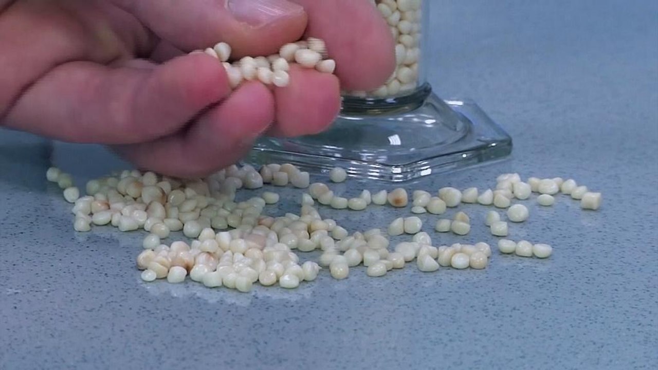 Bio-Butandiol: Plastik aus Zucker und Wasser