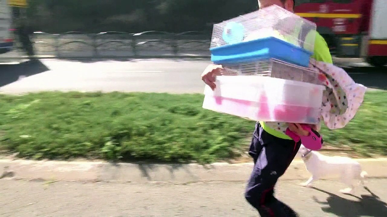 Brände in Haifa: Zehntausende in Sicherheit gebracht