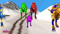 Colors Tiger Lion Gorilla Finger Family Nursery rhymes 3D - King kong vs Dinosaur Finger Family