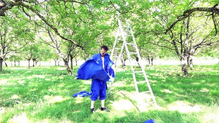 un pas de bleu pour 1 échelle (tableau clownesque abstrait)