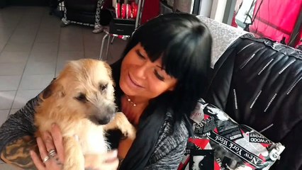 Huy: la coiffeuse Joëlle Parmentier, amoureuse des animaux, part en Roumanie sauver des chiens (1/2)