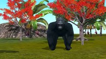 Gorilla Finger Family Rhymes 3D Animated Animal Finger Family Rhymes For Children