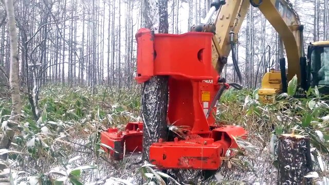 Gốc cắt và đăng nhập các máy móc thiết bị và xây dựng công nghệ tiên tiến