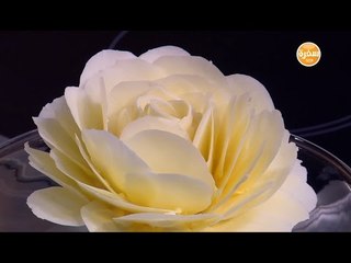 وردة من الشيكولاتة البيضاء  | سالي فؤاد