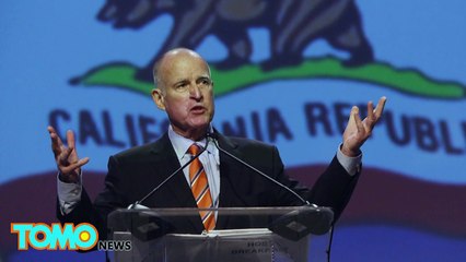 Califórnia diz que você pode invadir carros quentes para salvar cachorros.