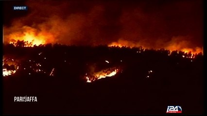Les incendies en Israël sont ils une intifada du feu? - Paris/Jaffa | Partie 1 - 24/11/2016