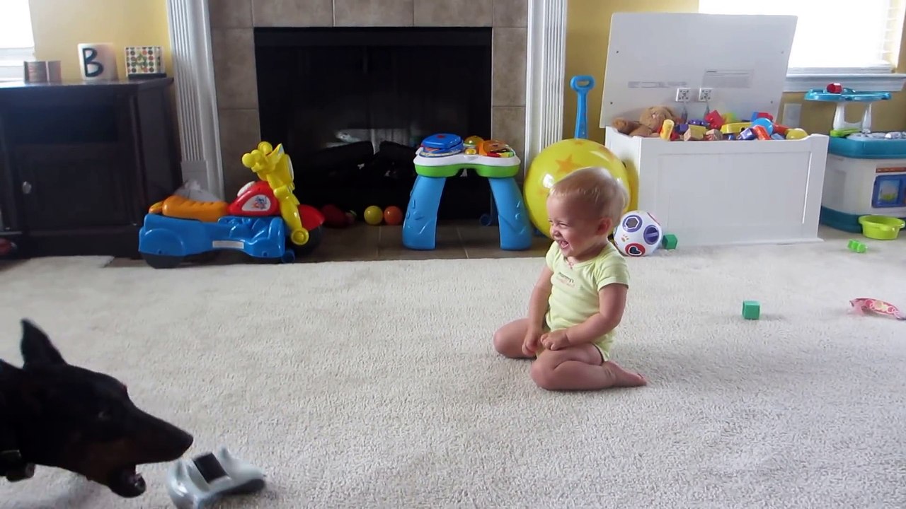 Doberman playing with Baby!