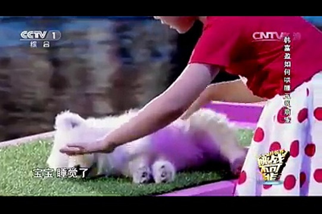 Cute,fun,Tantra Mantra