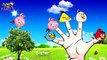 Angry Birds Finger Family Song | Daddy Finger Daddy Finger | Cartoon Nursery Rhymes