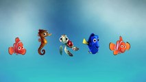 DADDY FINGER FAMILY SONG Finding Nemo Nursery Rhymes for Children Babies and Toddlers