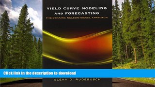 READ  Yield Curve Modeling and Forecasting: The Dynamic Nelson-Siegel Approach (The Econometric