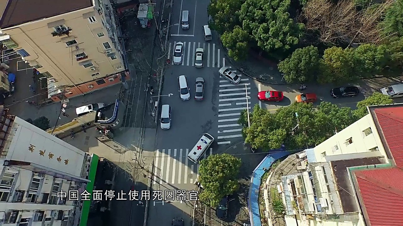 人间世 第3集 《团圆》 器官捐献 为生命往来鞠躬