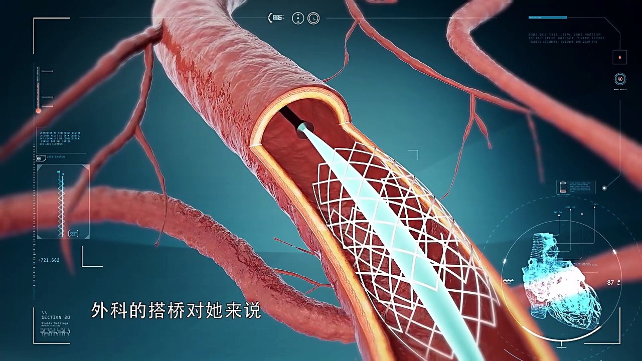 人间世 第8集 《坚持》 源于对生命敬畏的初心