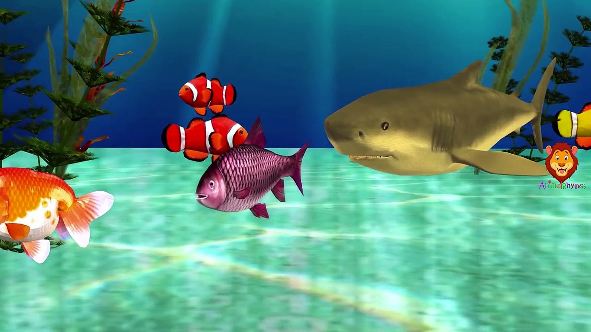 Piranha Finger Family | Shark Crocodile & More Sea Animals Finger Family Rhymes & Short Movi