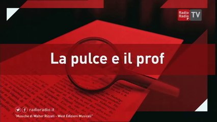 La Pulce e il Prof - 25 novembre 2016