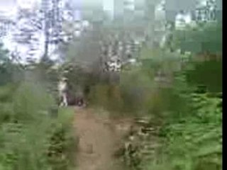 les niqués a l'yser