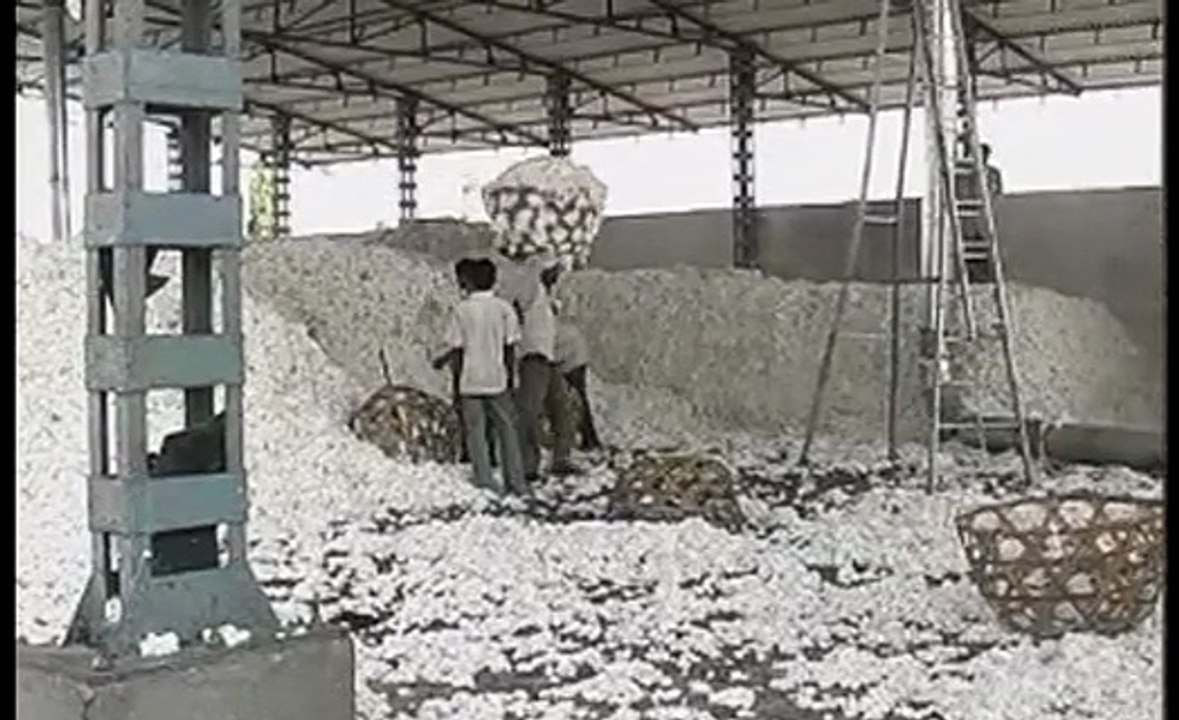 Pakistan Cotton Import India