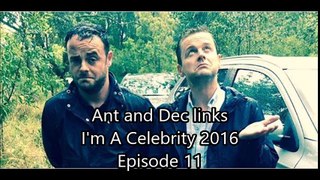 Ant and Dec links IAC 2016 - Episode 11