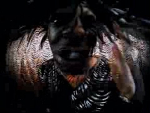 Busta Rymes-Put Your Hands Where My Eyes Could See