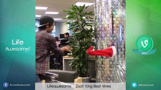 New ZACH KING Vine Compilation 2016 _ BEST OF ZACH KING 2016 _ The Best Vines