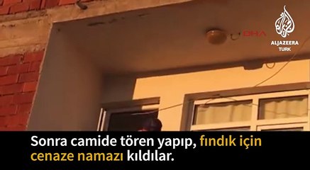 Download Video: Giresun  -  Ordu  fındık fiyatındaki düşüşe Dikkat İçin Cenaze Namazı