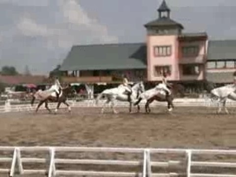 Championnats 2006 partie 2