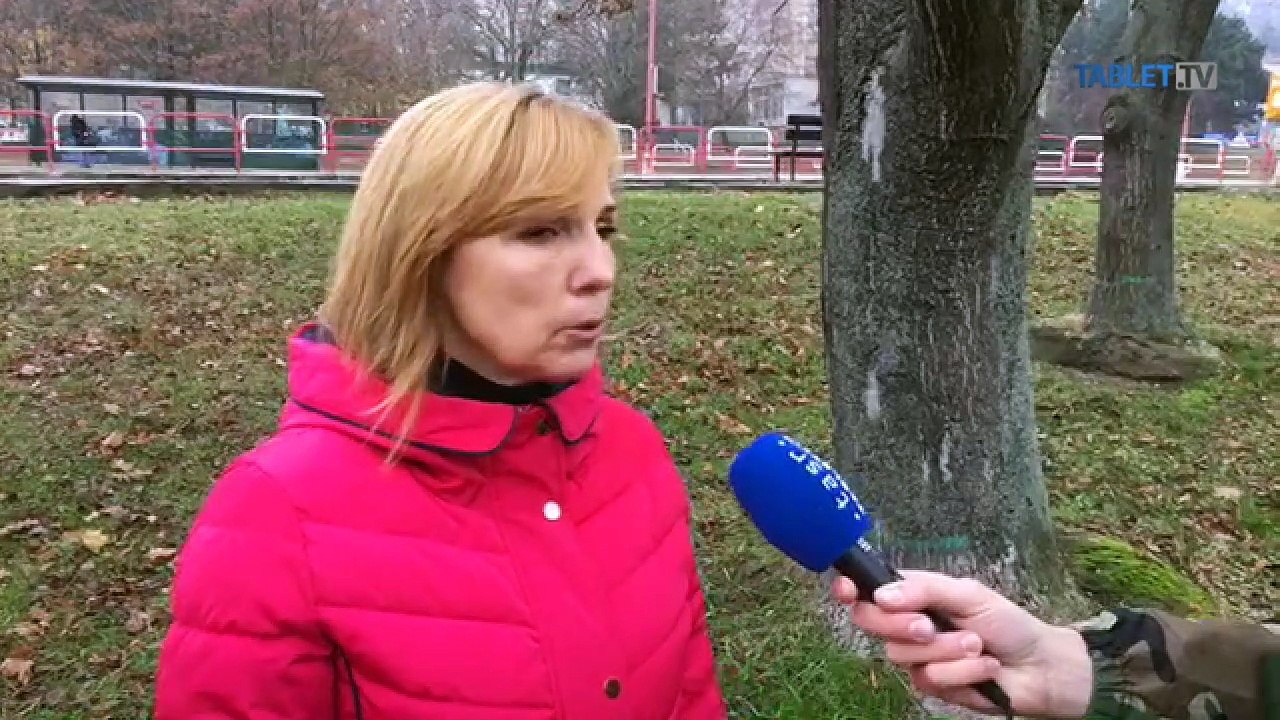 ZÁZNAM: Neznámy páchateľ zničil v Karlovej Vsi stromy za takmer 12.000 eur