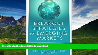 READ BOOK  Breakout Strategies for Emerging Markets: Business and Marketing Tactics for Achieving