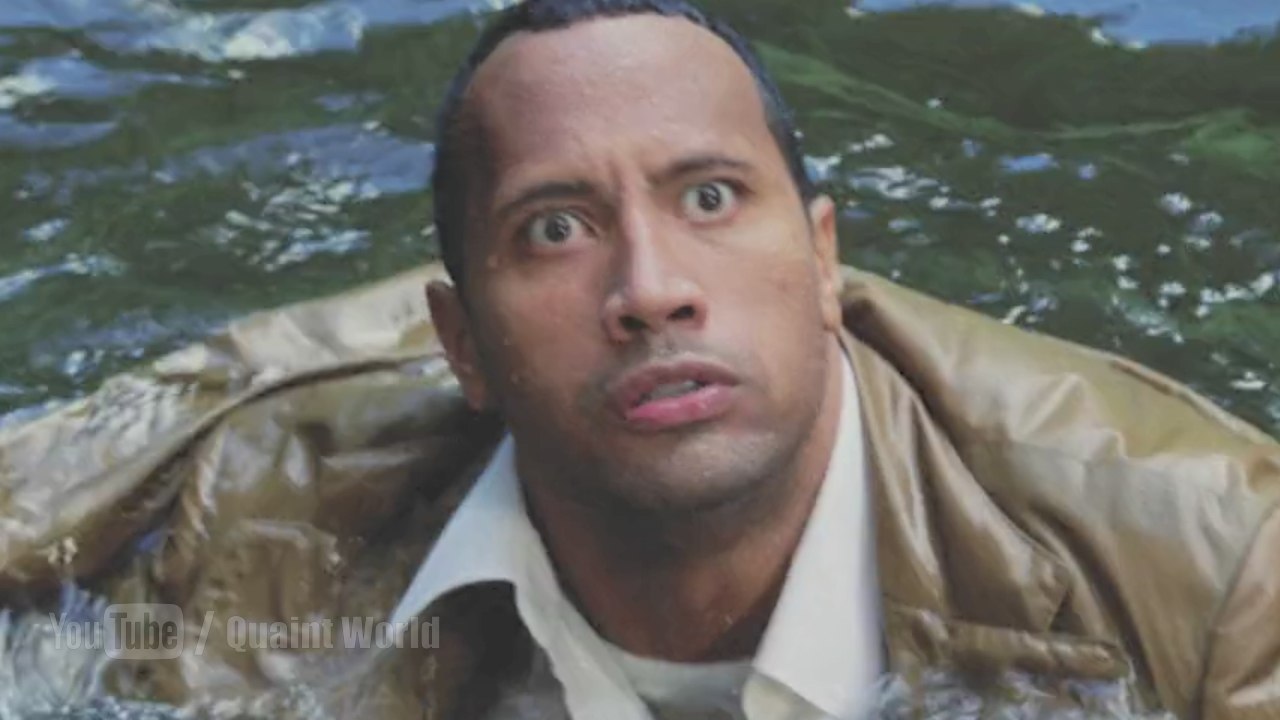 Funny Action Scene with Dwayne Johnson and Seann William Scott - The Rundown 2003