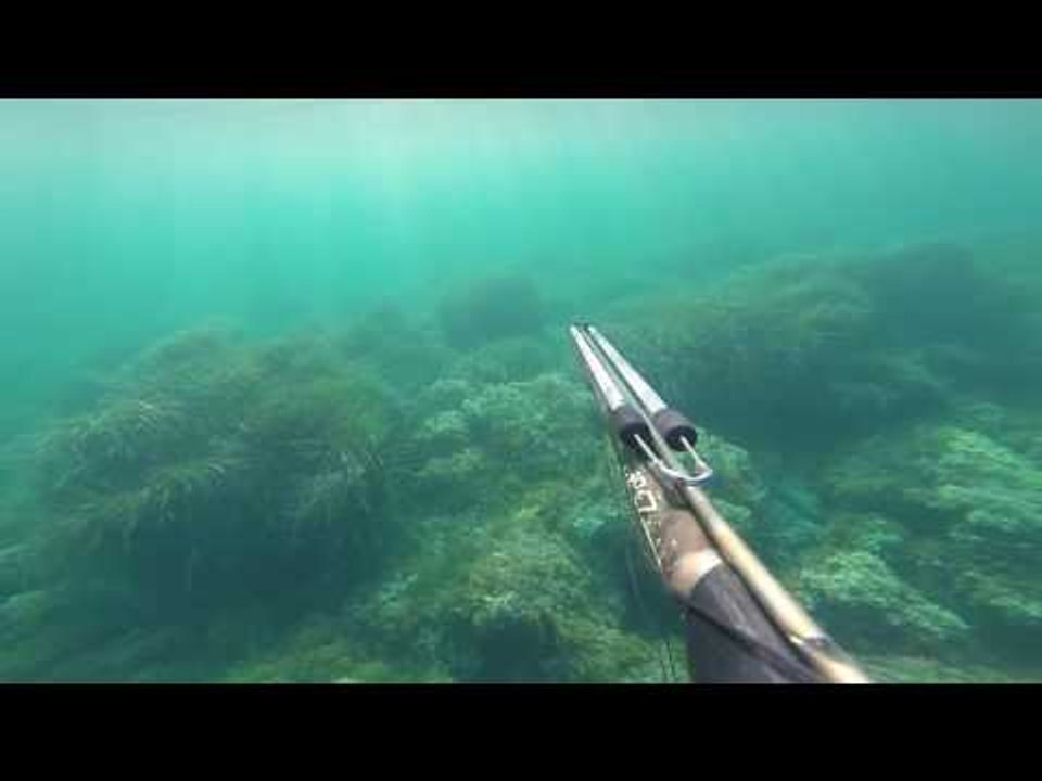 CHASSE SOUMARINE