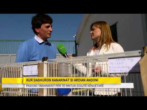 Highlights, Wake Up, 07/10/2016 - Kur dashuron kanarinat si Ardian Andoni