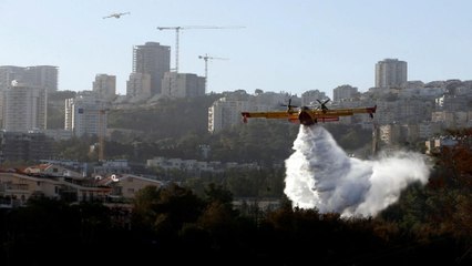 Israel's wildfires spread as homes and woods in Haifa are burnt down