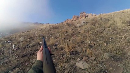 Chasse au lièvre #1