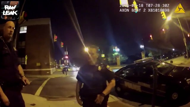 Driver playing Pokemon Go crashes into police car