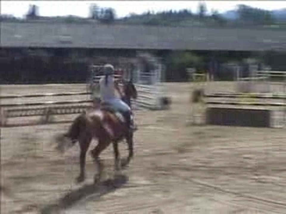 Roanne ambierle vit 110