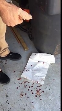 Replace Garage Door Torsion Springs 2016