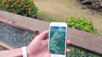 Worlds First Pokemon GO Safari Zone