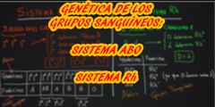 PROBLEMAS GENÉTICA GRUPOS SANGUÍNEOS